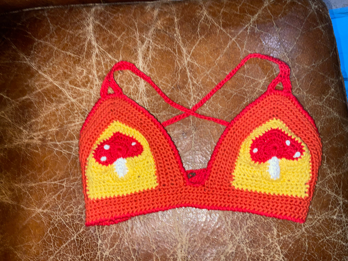 Aladdins Mushroom Triangle Bralette Top (36-40 D/DD Cups)