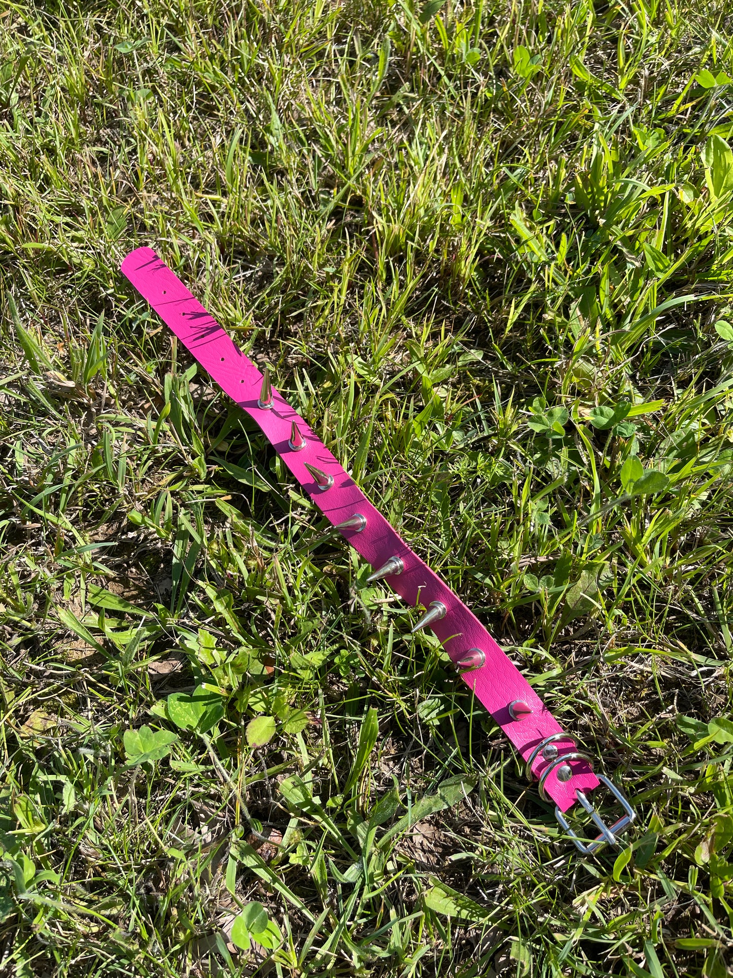 Pink Spiked Collar