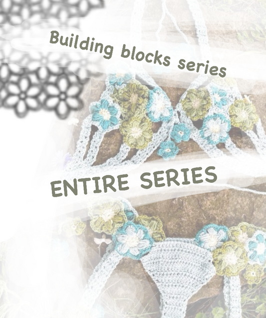 Building Blocks Series - Subscription